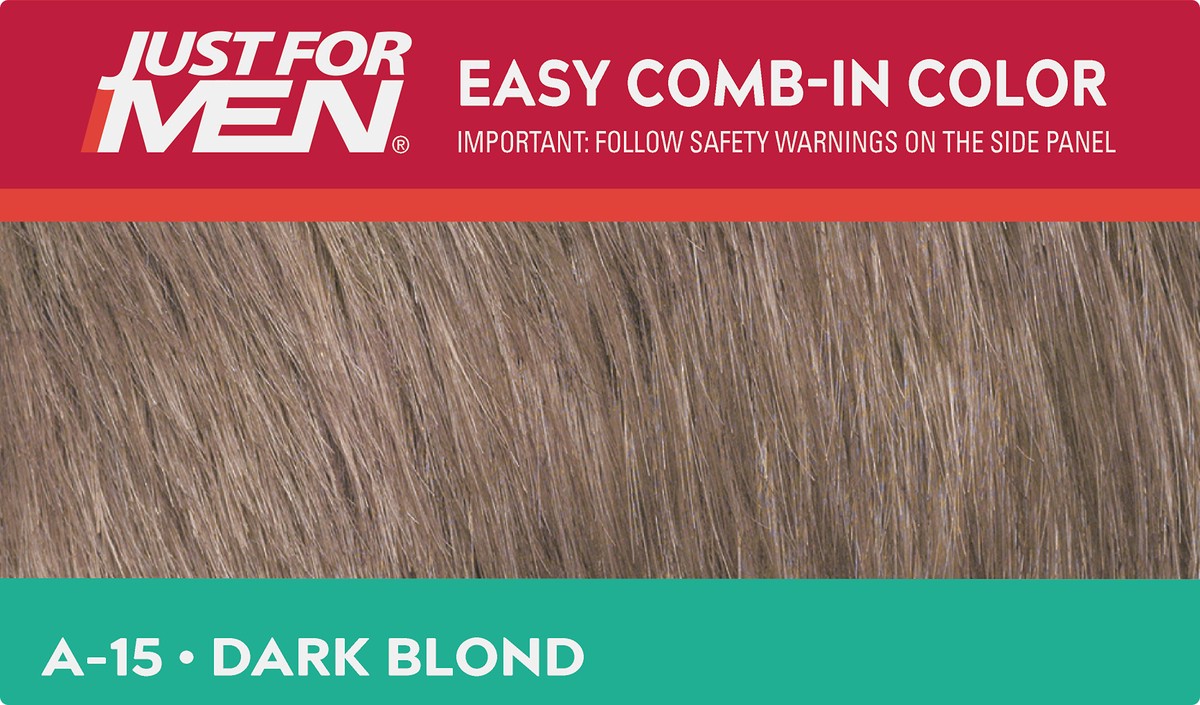 slide 8 of 8, Just for Men Easy Comb-In Color A-15 Dark Blond Single Application Haircolor Kit 1 ea, 1 ct