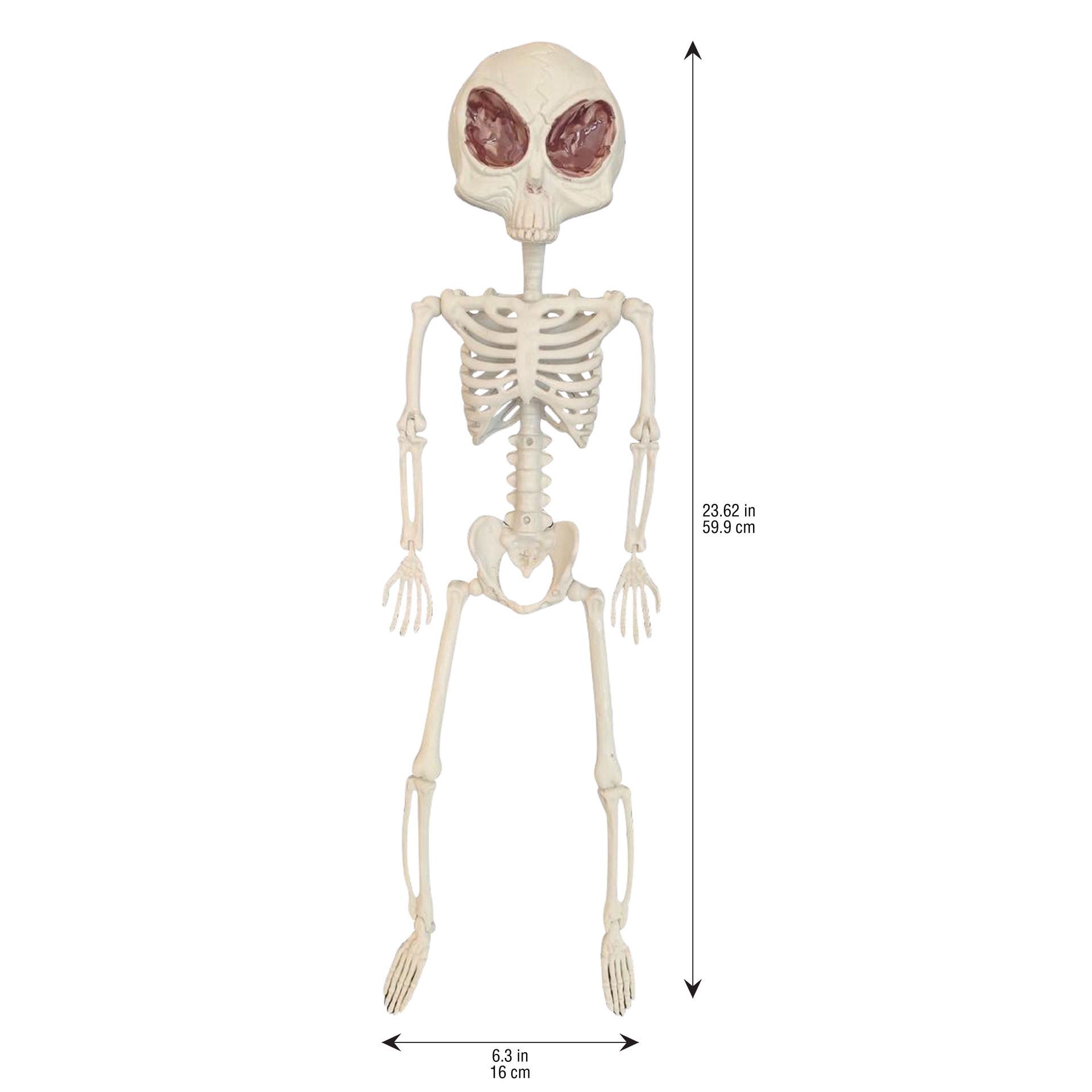 slide 3 of 3, 24" Alien Skeleton By Ashland, 24 in