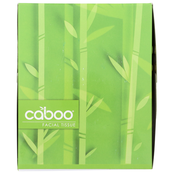 slide 1 of 1, Caboo Facial Tissue Cube, 1 ct