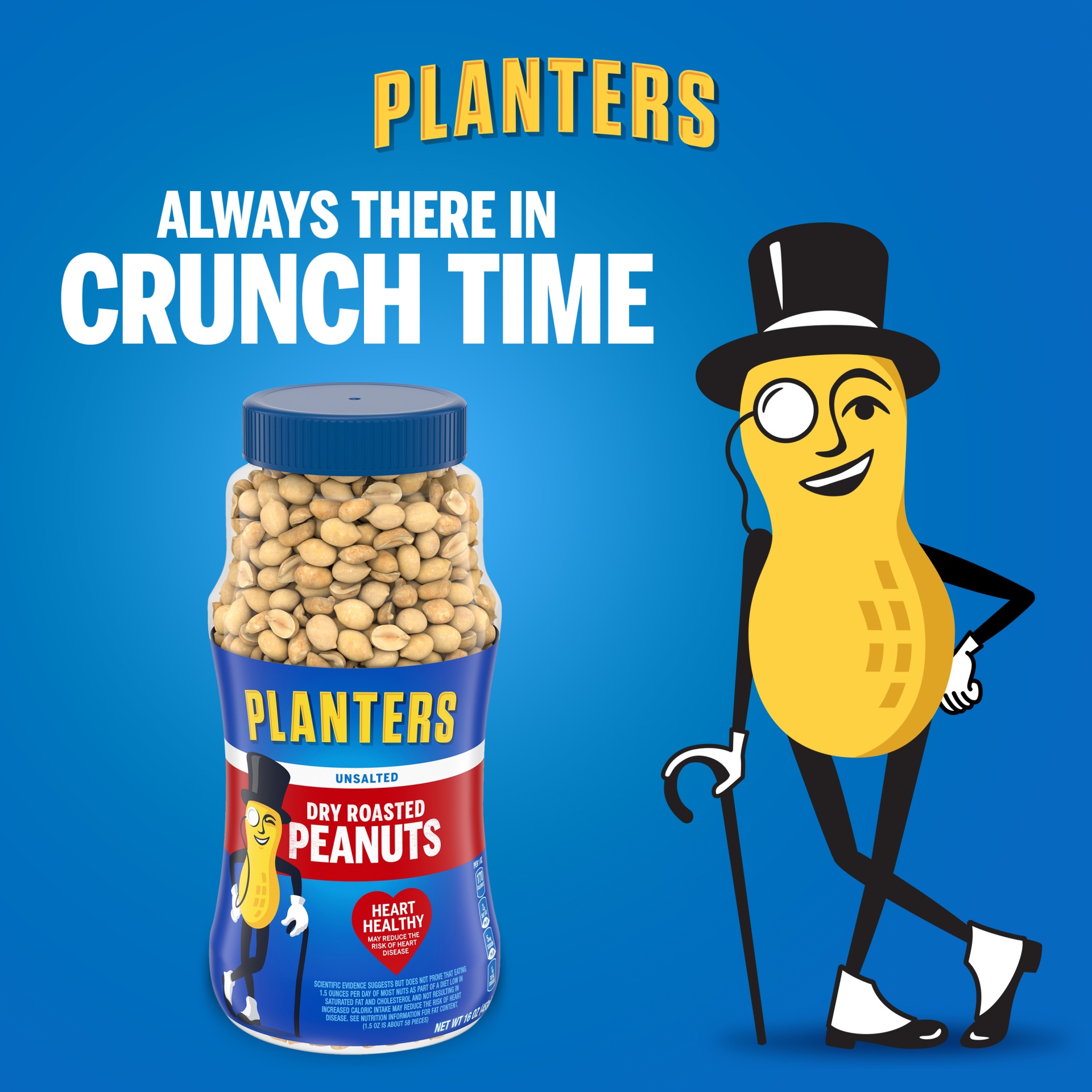 slide 6 of 13, Planters Unsalted Dry Roasted Peanuts, 16 oz