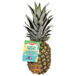Del Monte Gold Deliciously Sweet Pineapple 1 Each