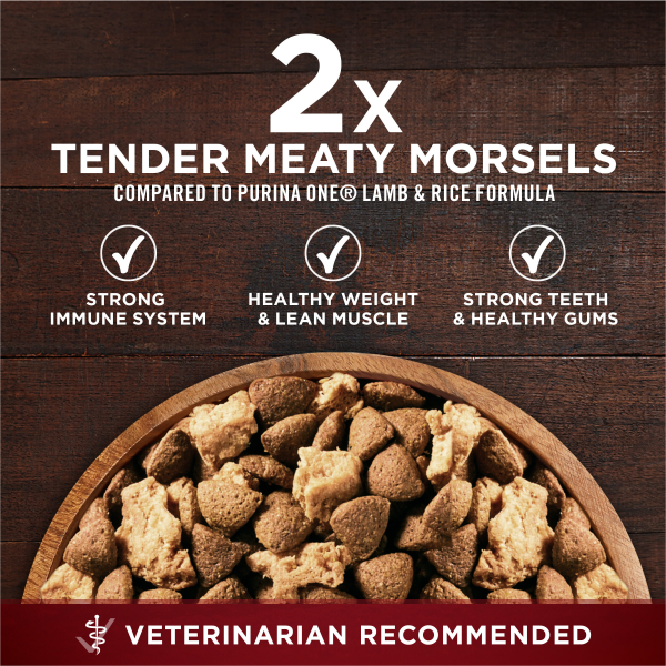 slide 10 of 29, Purina ONE True Instinct Lean Muscle Support With Real Beef Natural With Added Vitamins, Minerals and Nutrients High Protein Dog Food - 15 lb. Bag, 15 lb