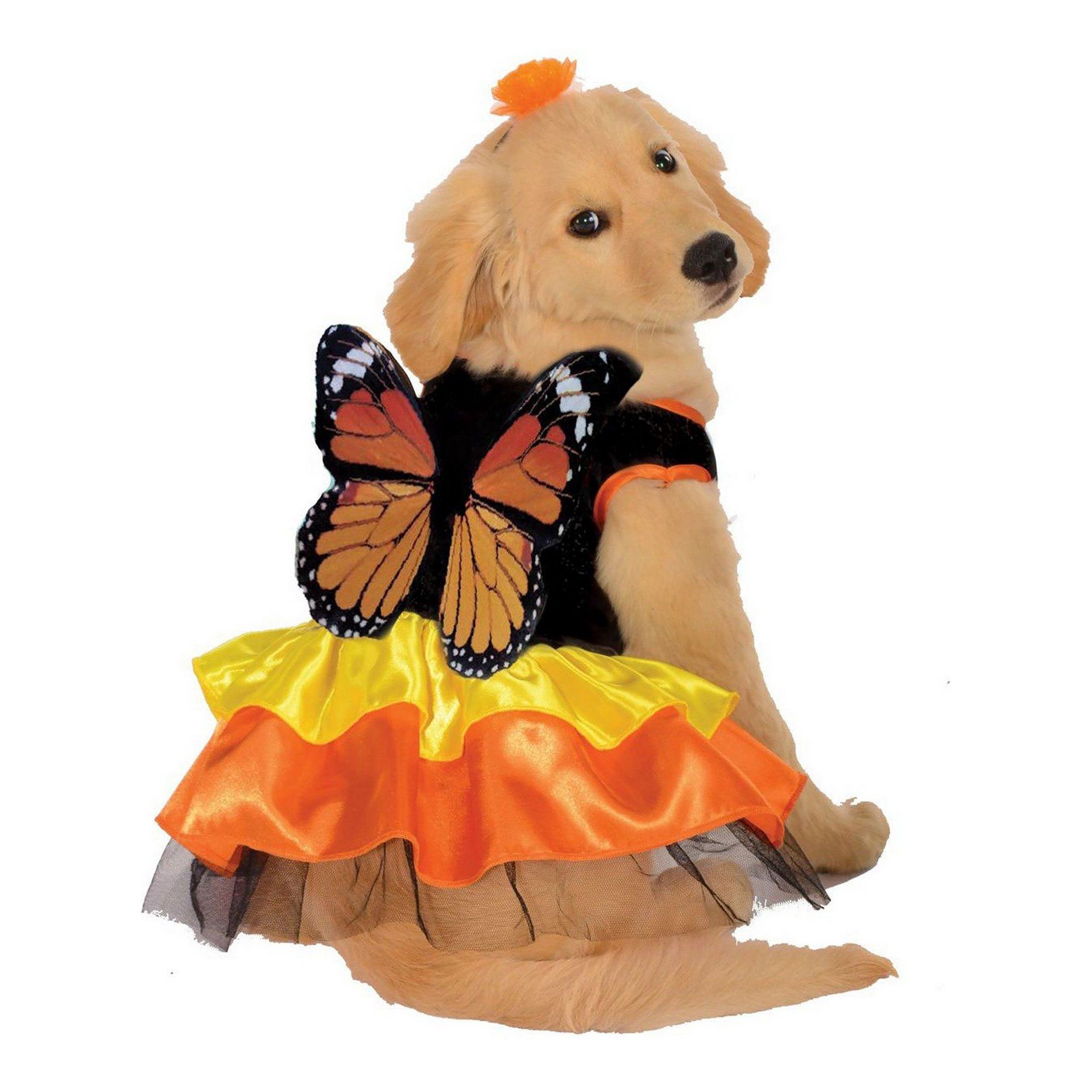 slide 1 of 1, Rubies Costumes Rubie's Pet Shop Halloween Monarch Butterfly Dog & Cat Costume, MED