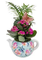Tea Party Garden Tea Pot