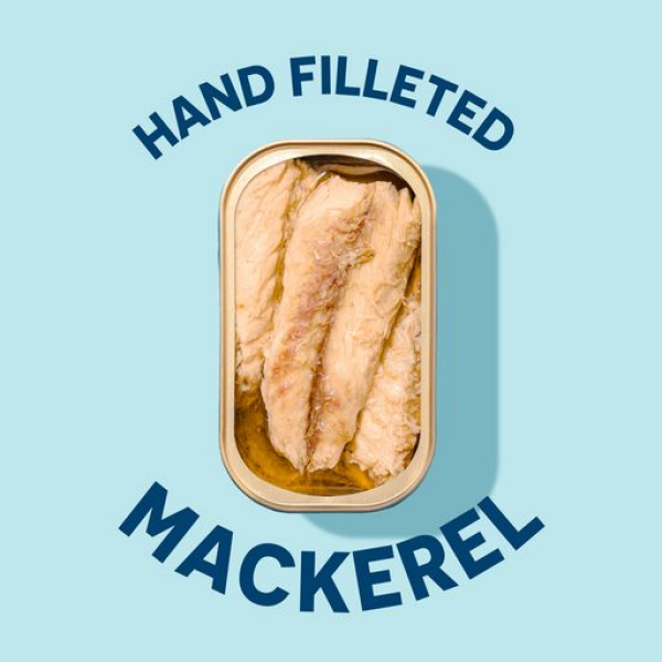 slide 11 of 13, Wild Planet, Wild Mackerel In Extra Virgin Olive Oil, 4.4 oz