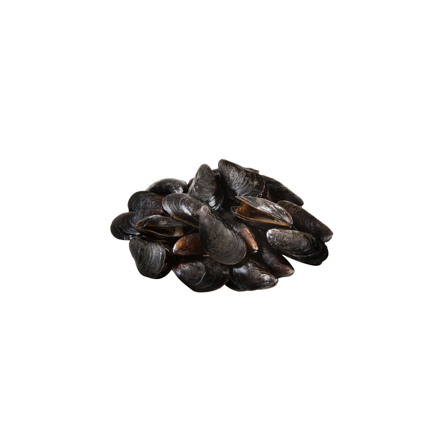 slide 1 of 1, Cub Mussels in the Shell, Sold by the Bag, 2 Pound, per lb