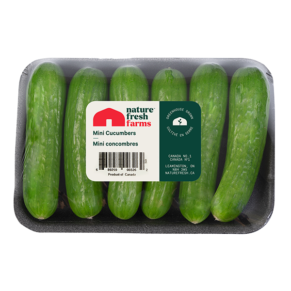 slide 1 of 1, Nature Fresh Mini Cucumbers, 6 ct