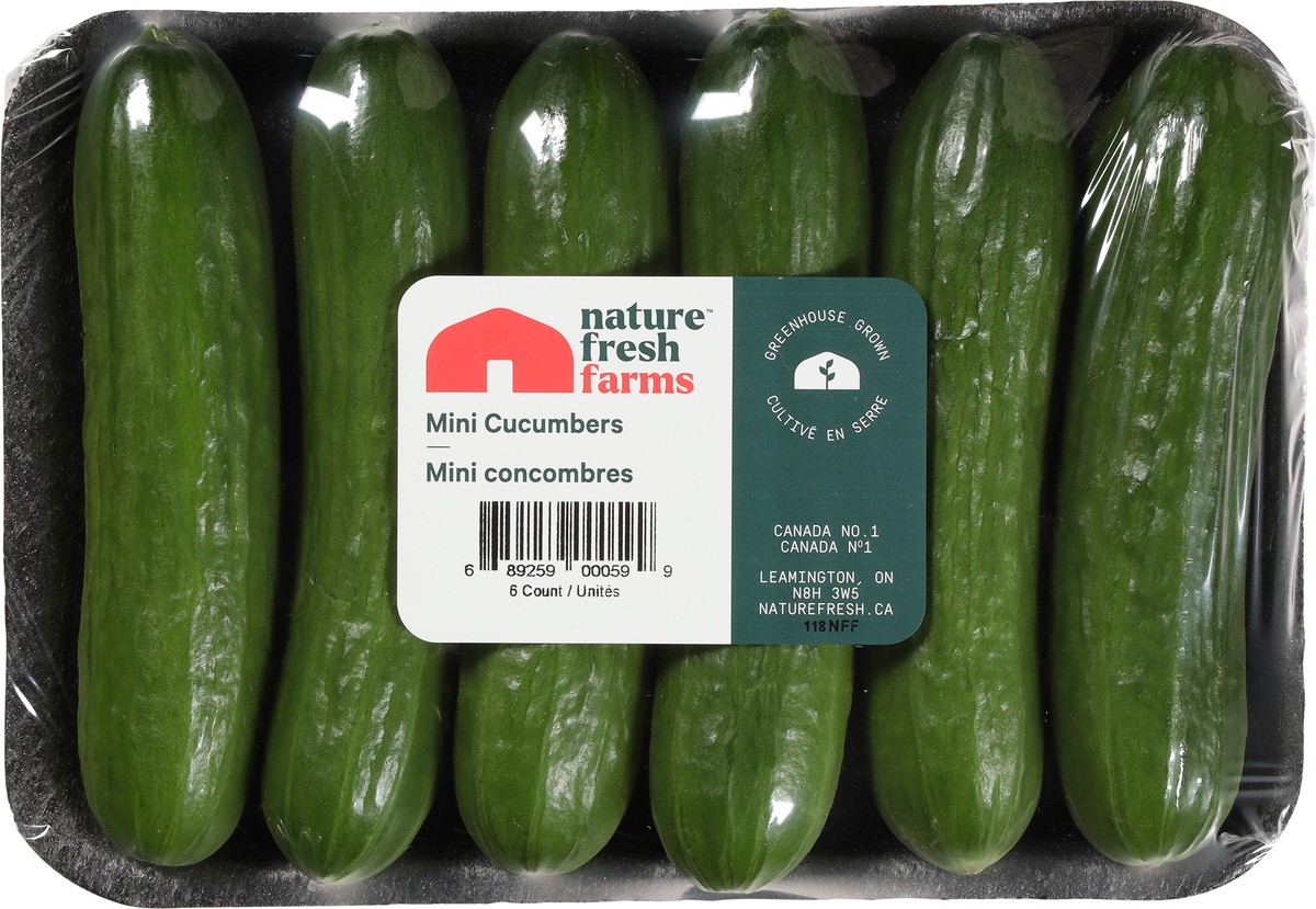 slide 7 of 11, Nature Fresh Mini Cucumbers, 6 ct