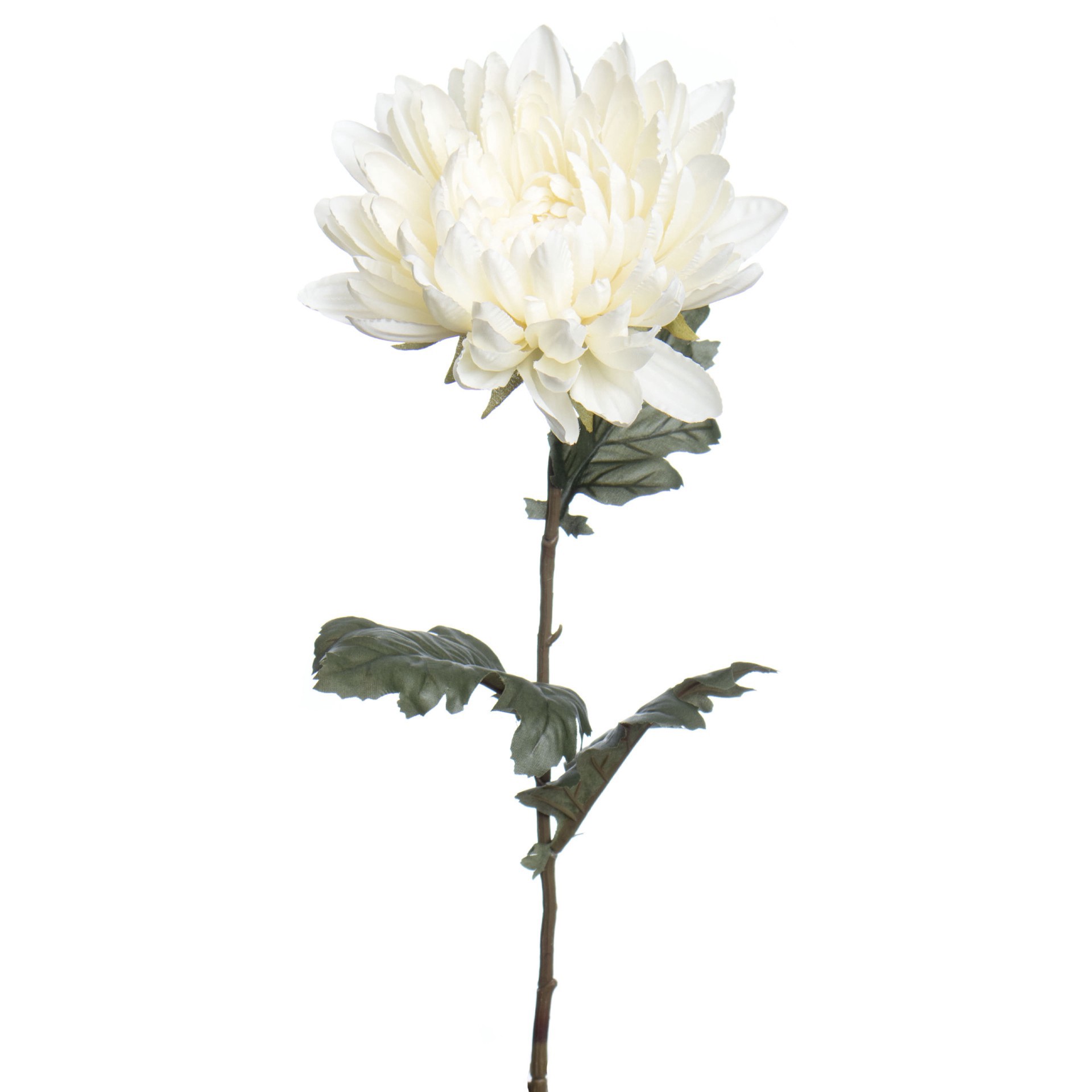 slide 2 of 3, 27" Mum Stem With 3 Leaves By Ashland, 6 in x 4 in x 27 in