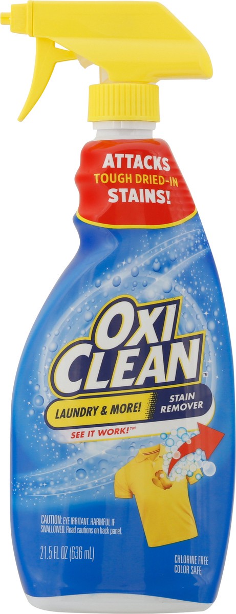 slide 4 of 9, Oxi-Clean Laundry Stain Remover Spray, 21.5 fl oz, 21.50 fl oz