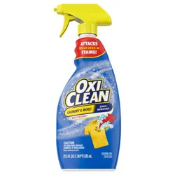 Oxi-Clean Laundry Stain Remover Spray, 21.5 fl oz