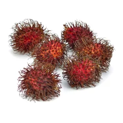 Rambutan-Clamshell-Jc Tro