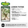 slide 6 of 9, Bonnie Plants  Thyme Lemon, 19.3 oz