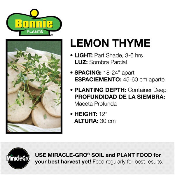 slide 4 of 9, Bonnie Plants  Thyme Lemon, 19.3 oz