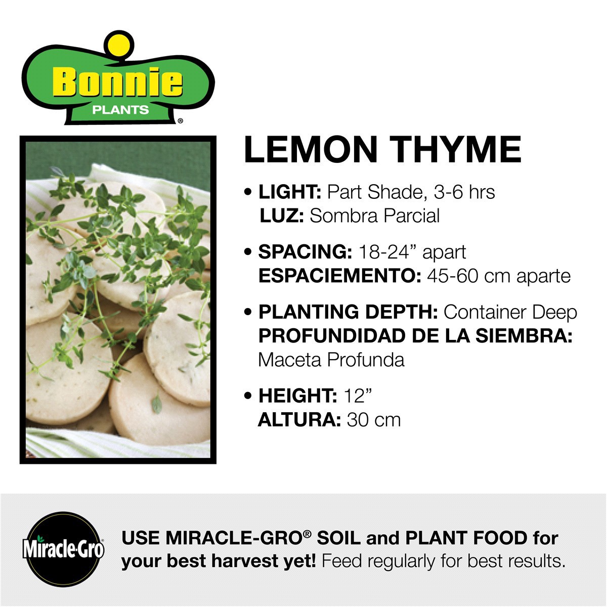 slide 9 of 9, Bonnie Plants  Thyme Lemon, 19.3 oz