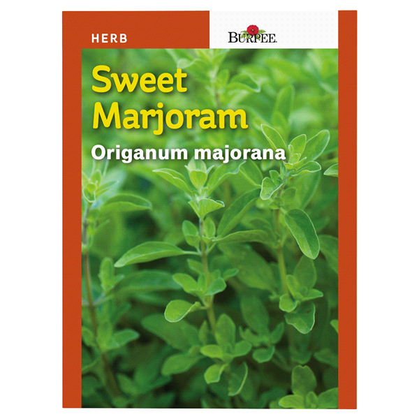 slide 1 of 1, Burpee Herb Sweet Marjoram Seeds, 1 ct