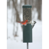 slide 3 of 13, BIRDS CHOICE Bird's Choice Squirrel Proof Pole Mounted Bird Feeder, 1 ct