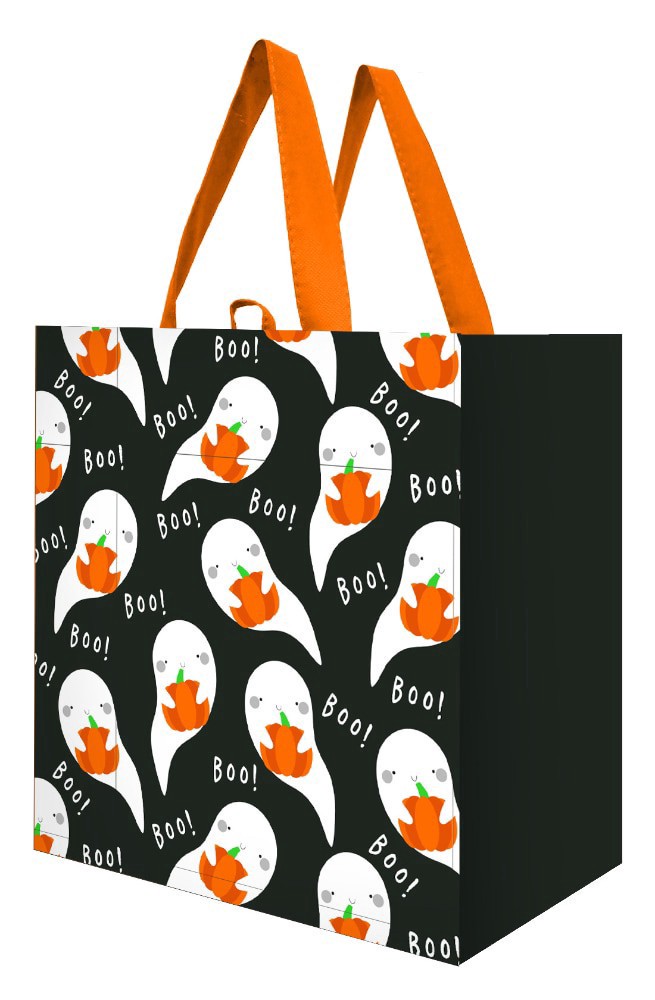 slide 1 of 1, Earthwise KGR Boo Reusable Storage Bag, 1 ct