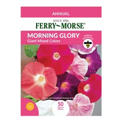 Ferry Morse Morning Glory, Giant Mixed Color