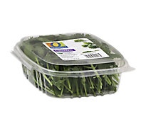 slide 1 of 1, O Organics Organic Cilantro, 