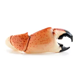 Stone Crab Claws