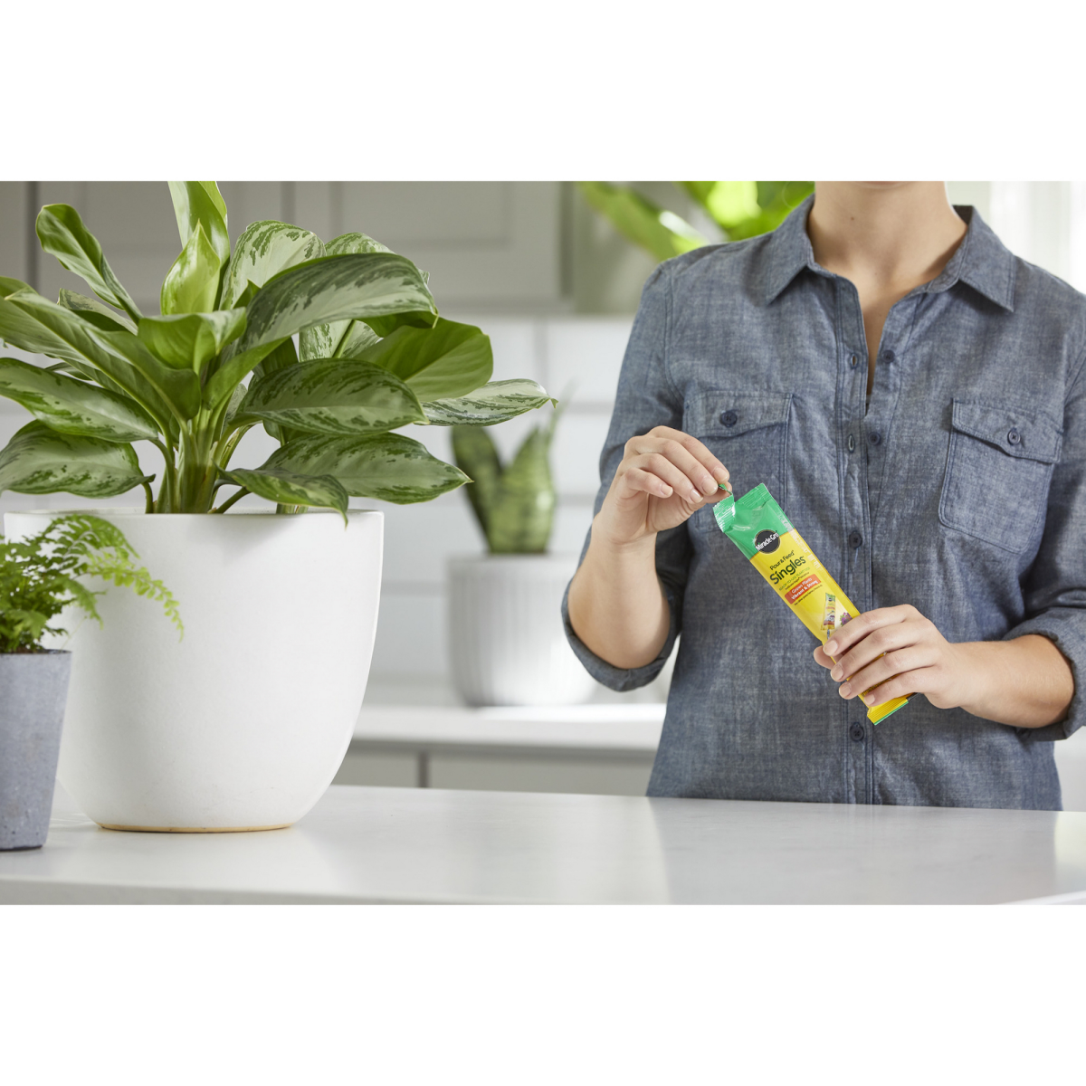 slide 13 of 21, Miracle-Gro Plant Food 2 oz, 2 oz