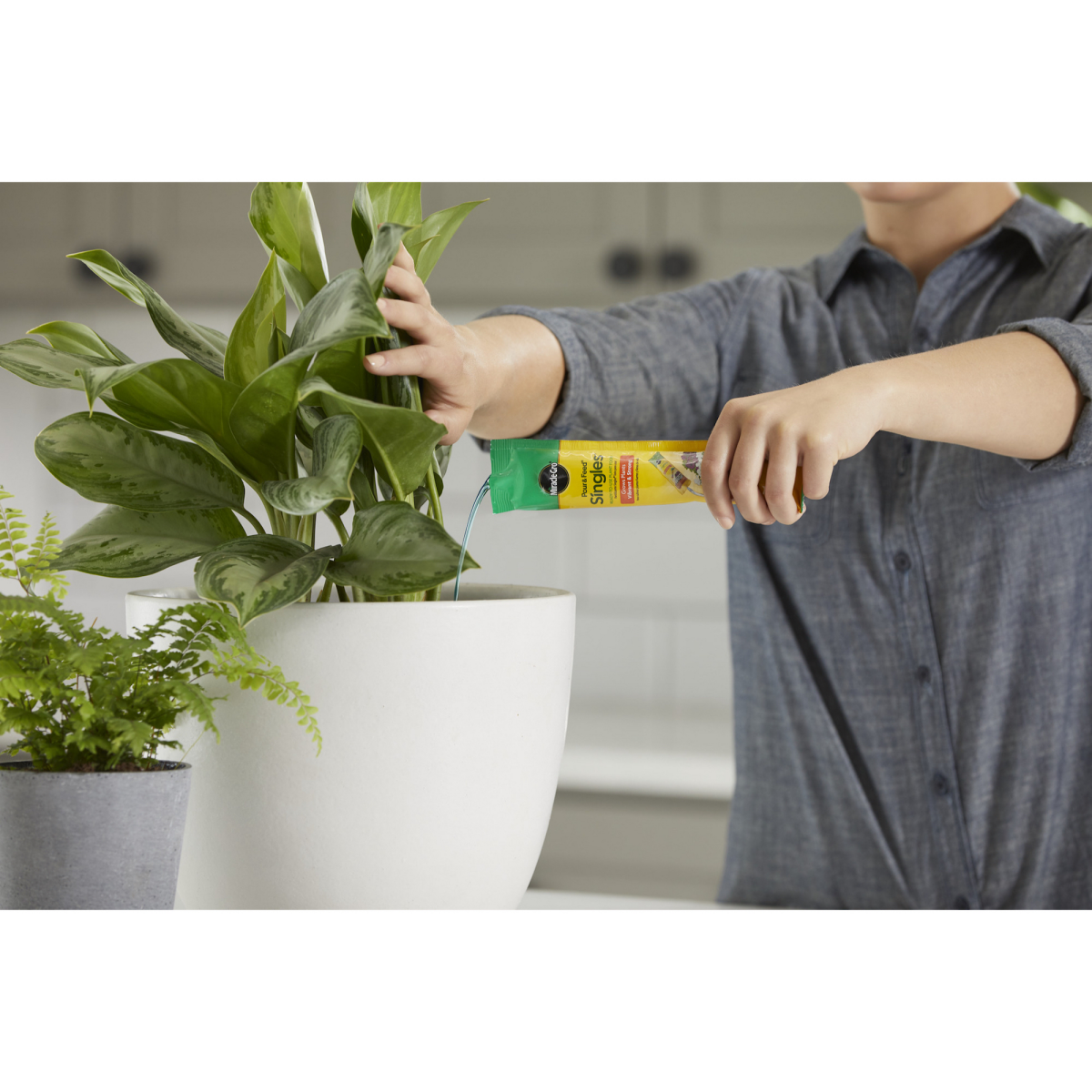 slide 21 of 21, Miracle-Gro Plant Food 2 oz, 2 oz