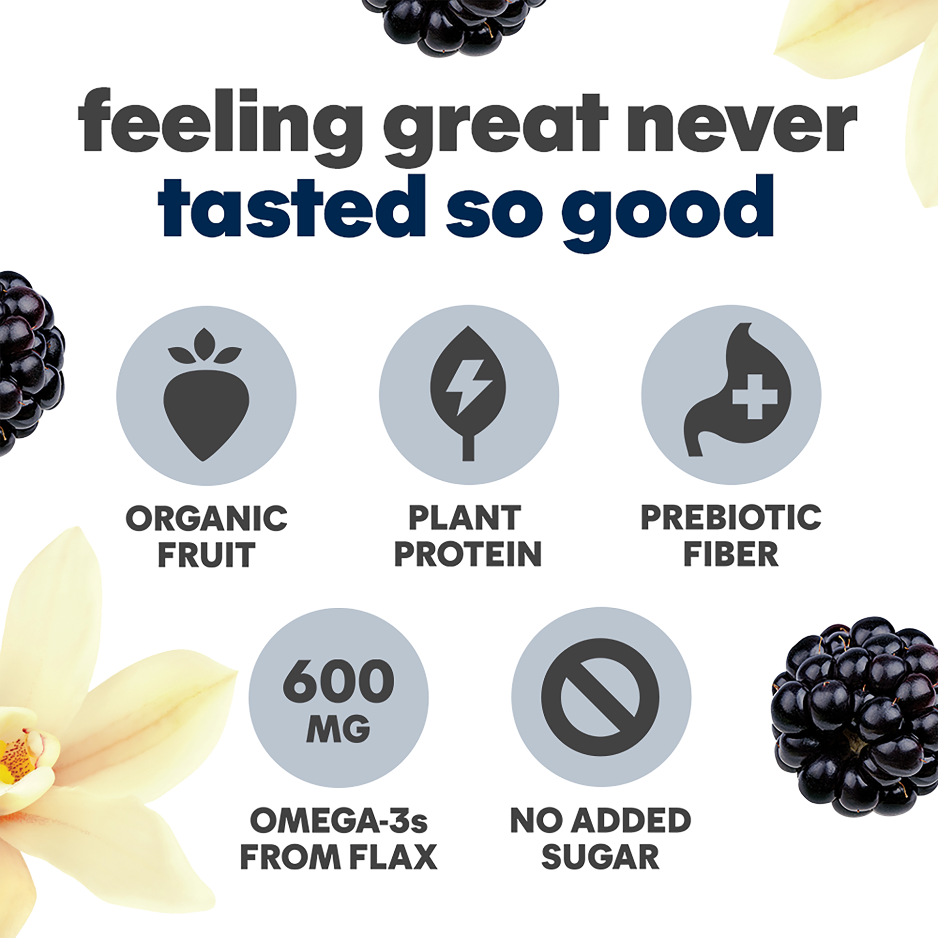 slide 4 of 6, NOKA Blackbery Vanilla Superfood Smoothie + Prebiotic Fiber, 4.22 oz