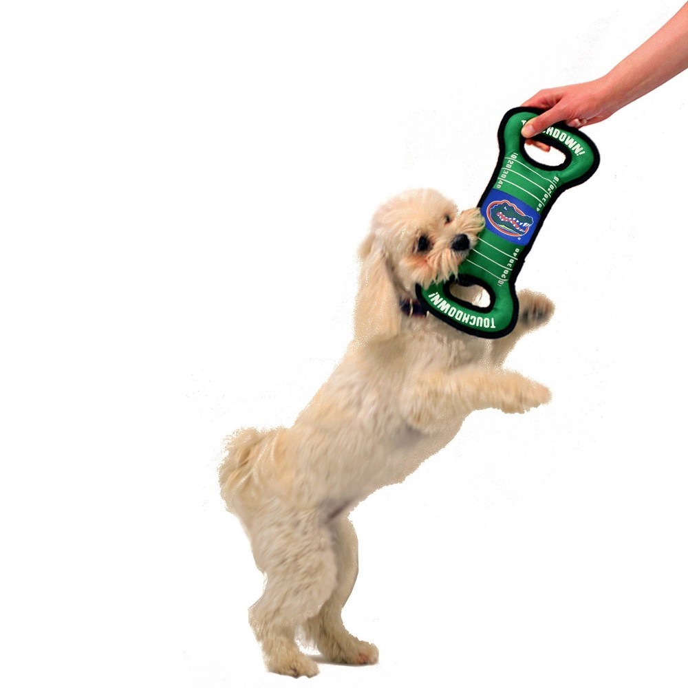 slide 3 of 4, NCAA Florida Gators Field Dog Toy, 1 ct