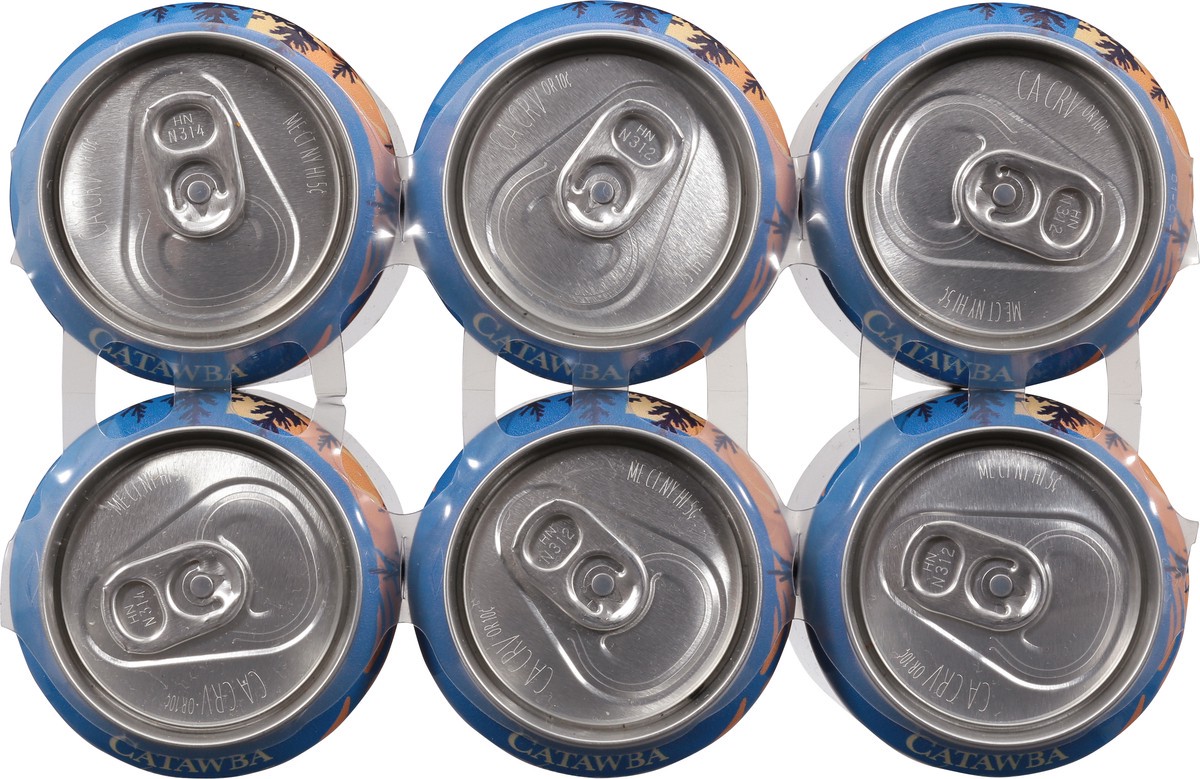 slide 4 of 9, Catawba Brewing Catawba Carolina Fog Hazy Ipa, 6 ct; 12 oz