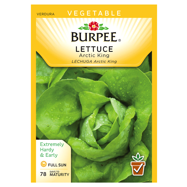 slide 1 of 1, Burpee Lettuce Artic King Butterhead Seeds, 1 ct