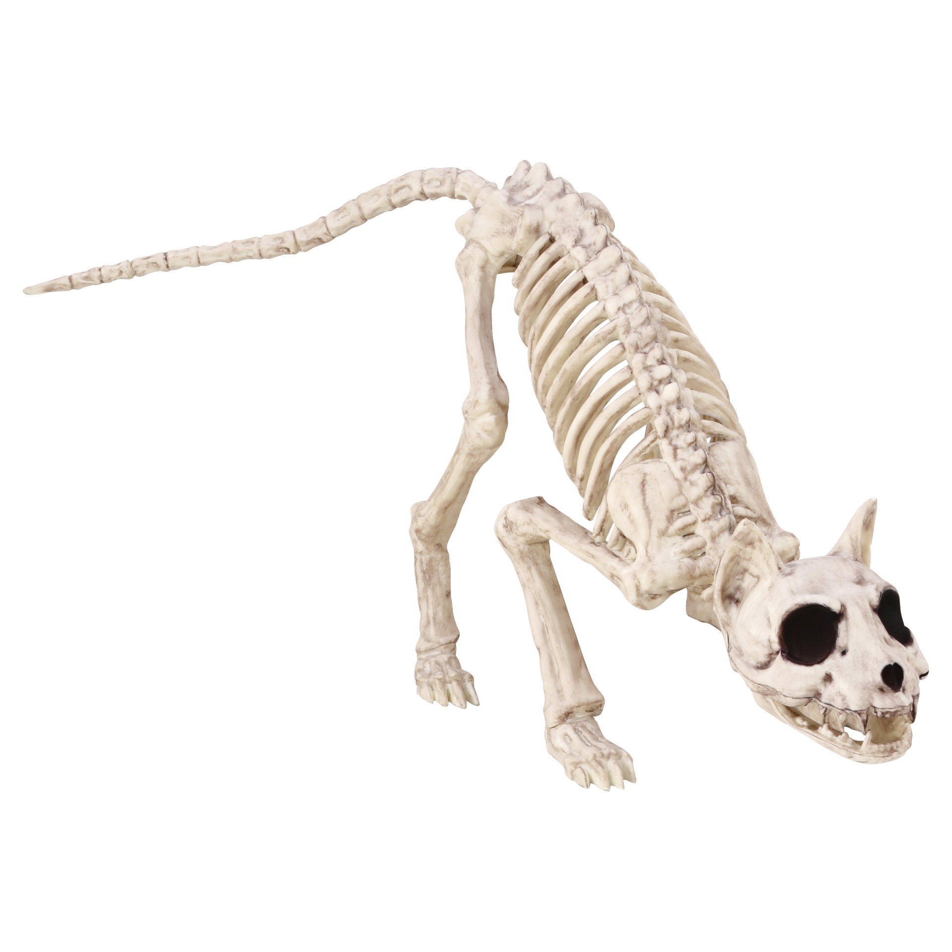 slide 1 of 1, Halloween 10" Lil' Skeleton Kitty, 1 ct