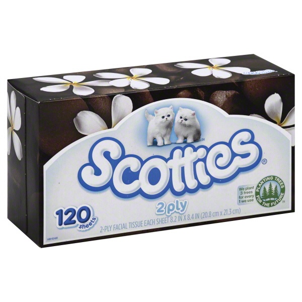 slide 1 of 1, Scotties Facial Tissue Flat Pack, 120 ct