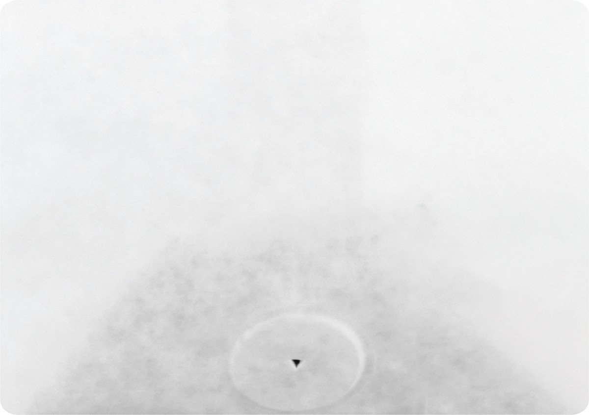 slide 10 of 11, Counter Culture Whole Bean Fast Forward Coffee 12 oz, 12 oz