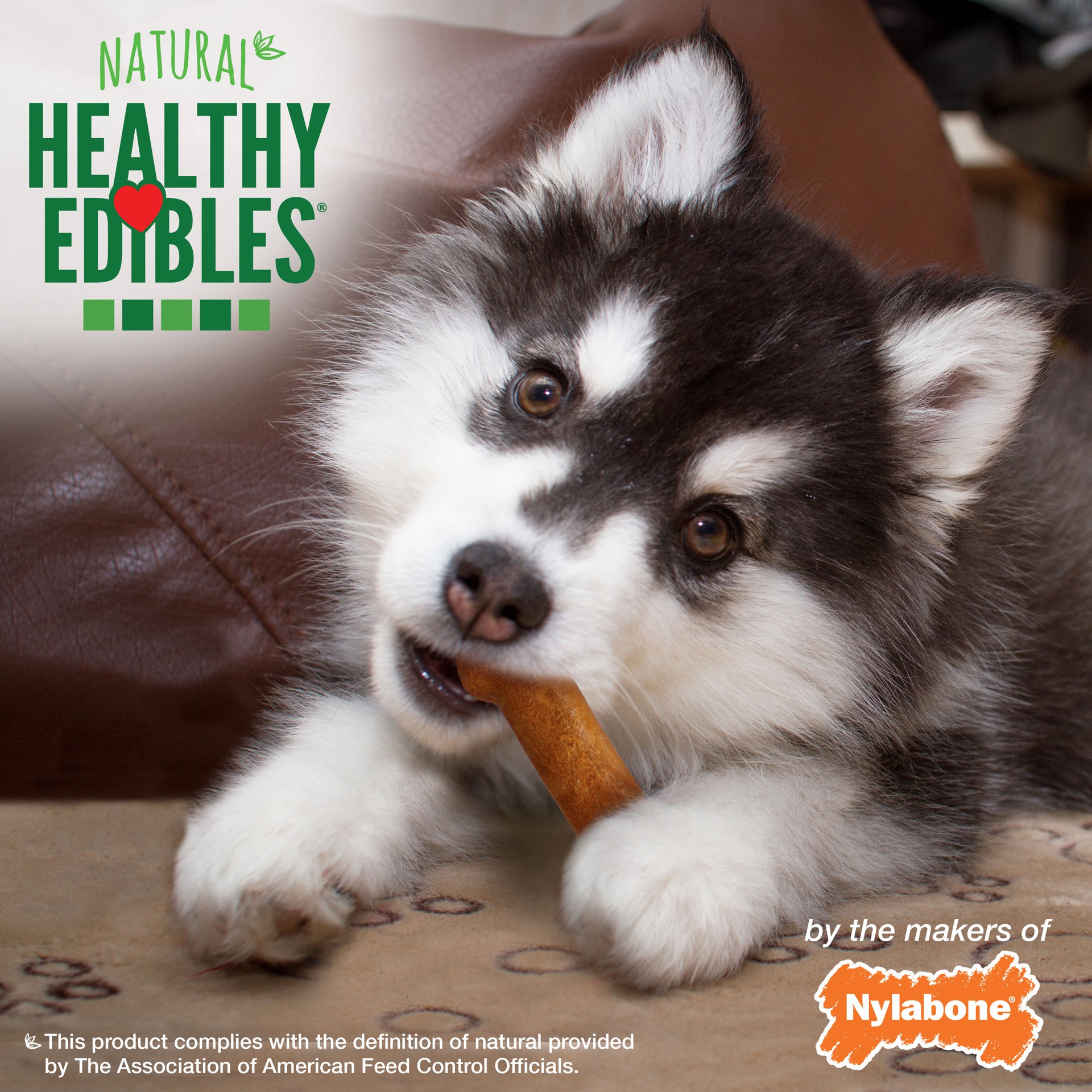 slide 2 of 10, Nylabone Healthy Edibles Puppy Turkey & Sweet Potato Dog Chew Treats X-Small/Petite - Up to 15 lbs.(4 Count), 4 ct