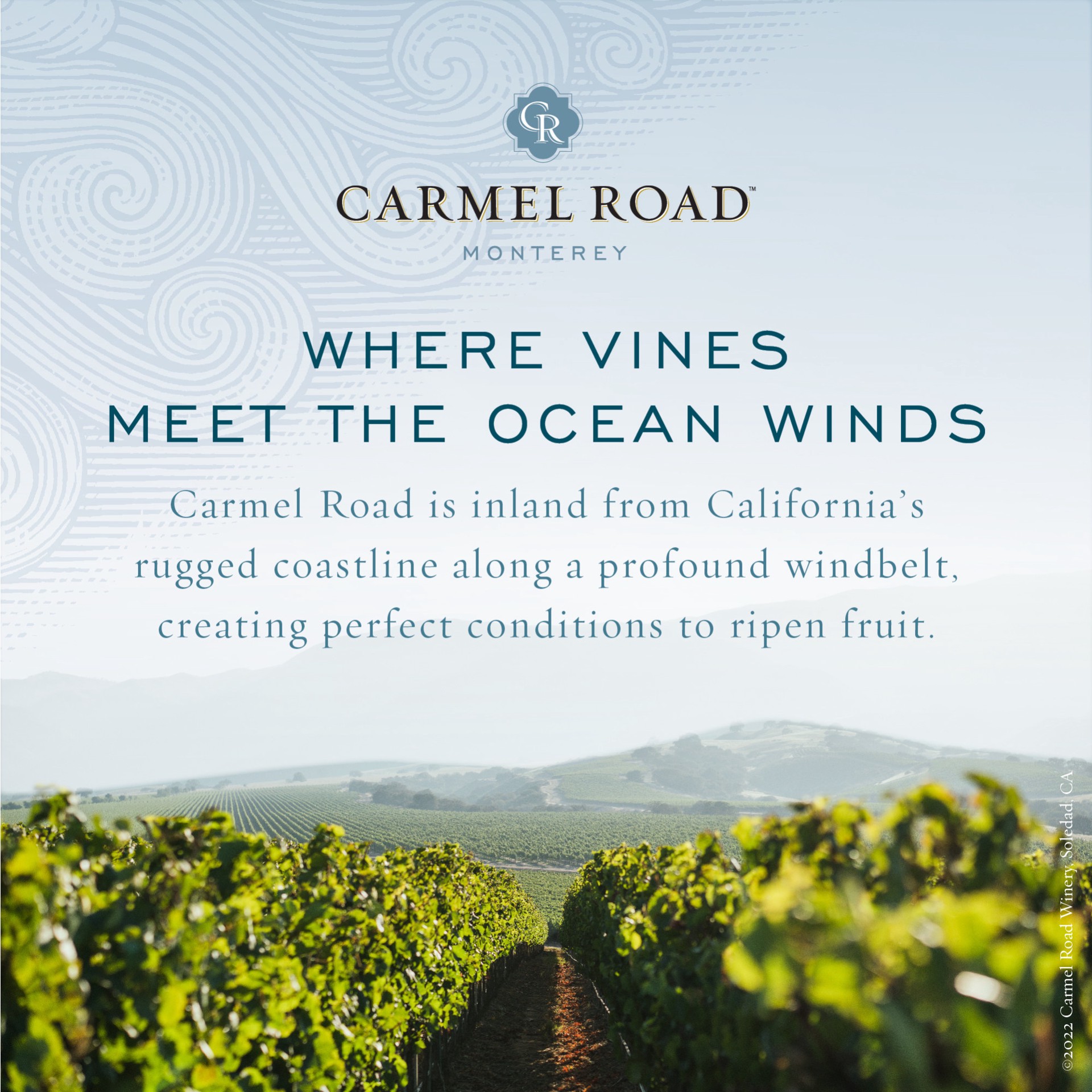 slide 5 of 5, Carmel Road Monterey Pinot Noir Red Wine Half Bottle, 375ml, 375 ml