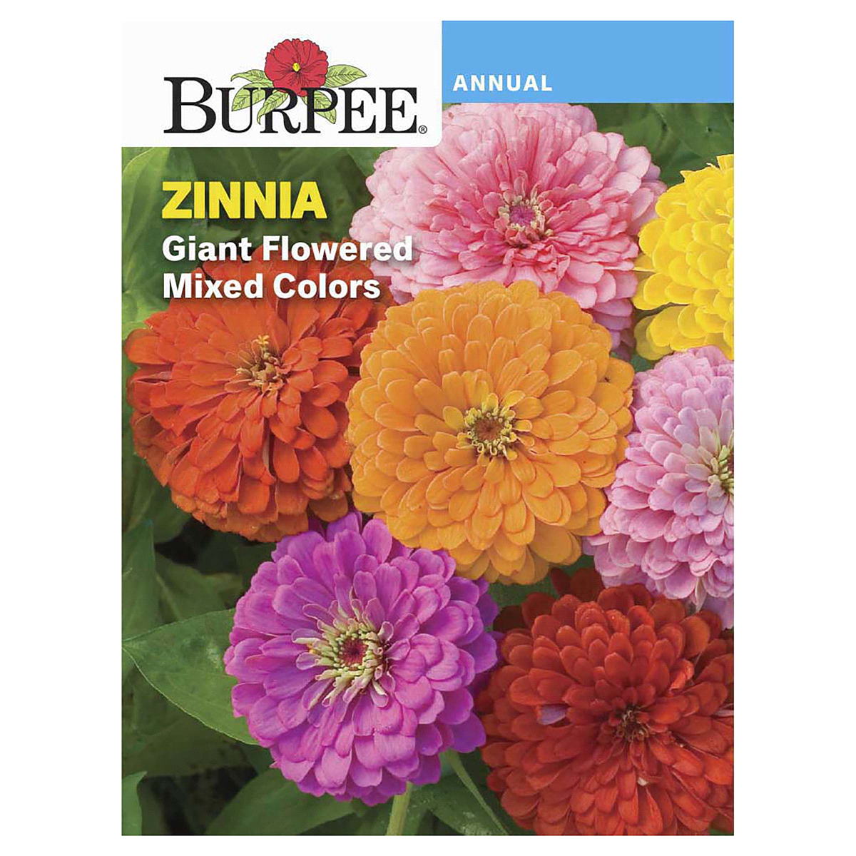 slide 1 of 5, Burpee Zinnia Giant Flowered Mix Seeds, 1 ct