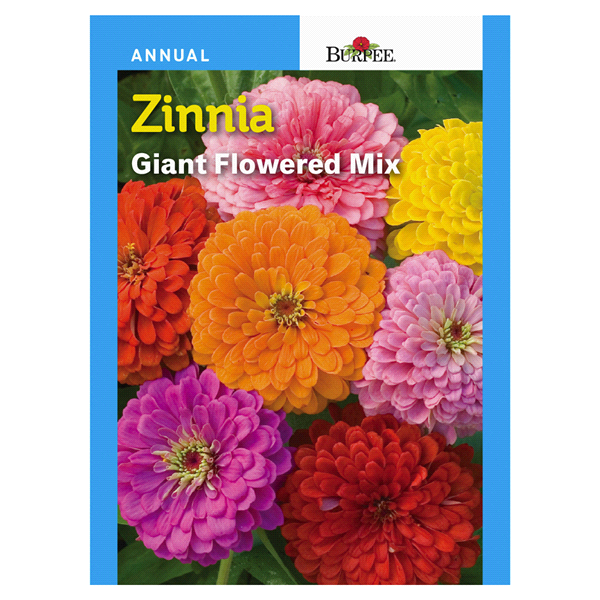slide 1 of 1, Burpee Zinnia Giant Flowered Mix Seeds, 1 ct