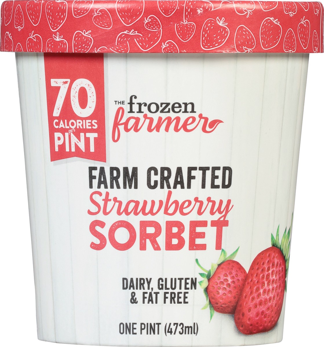 slide 7 of 9, The Frozen Farmer Sorbet, Strawberry, 1 pint