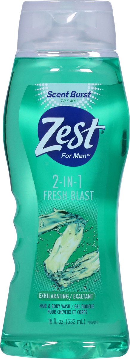 slide 9 of 12, Zest For Men 2 in 1 Fresh Blast Hair & Body Wash 18 fl oz, 18 fl oz