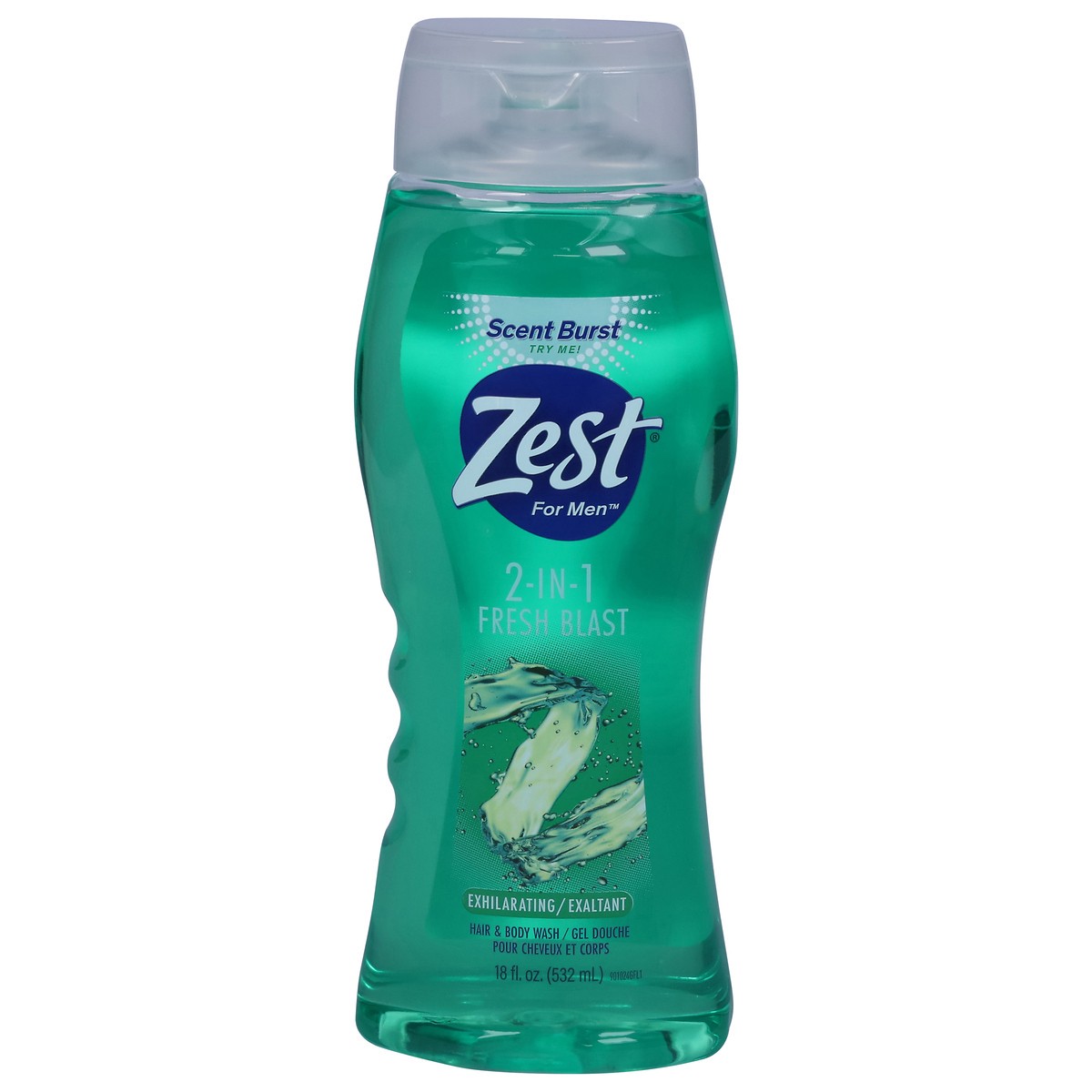 slide 1 of 12, Zest For Men 2 in 1 Fresh Blast Hair & Body Wash 18 fl oz, 18 fl oz