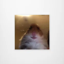 Hamster Selfie Sticker