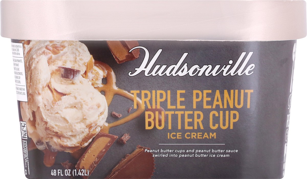 slide 1 of 9, Hudsonville Triple Peanut Butter Cup Ice Cream 48 oz, 48 oz