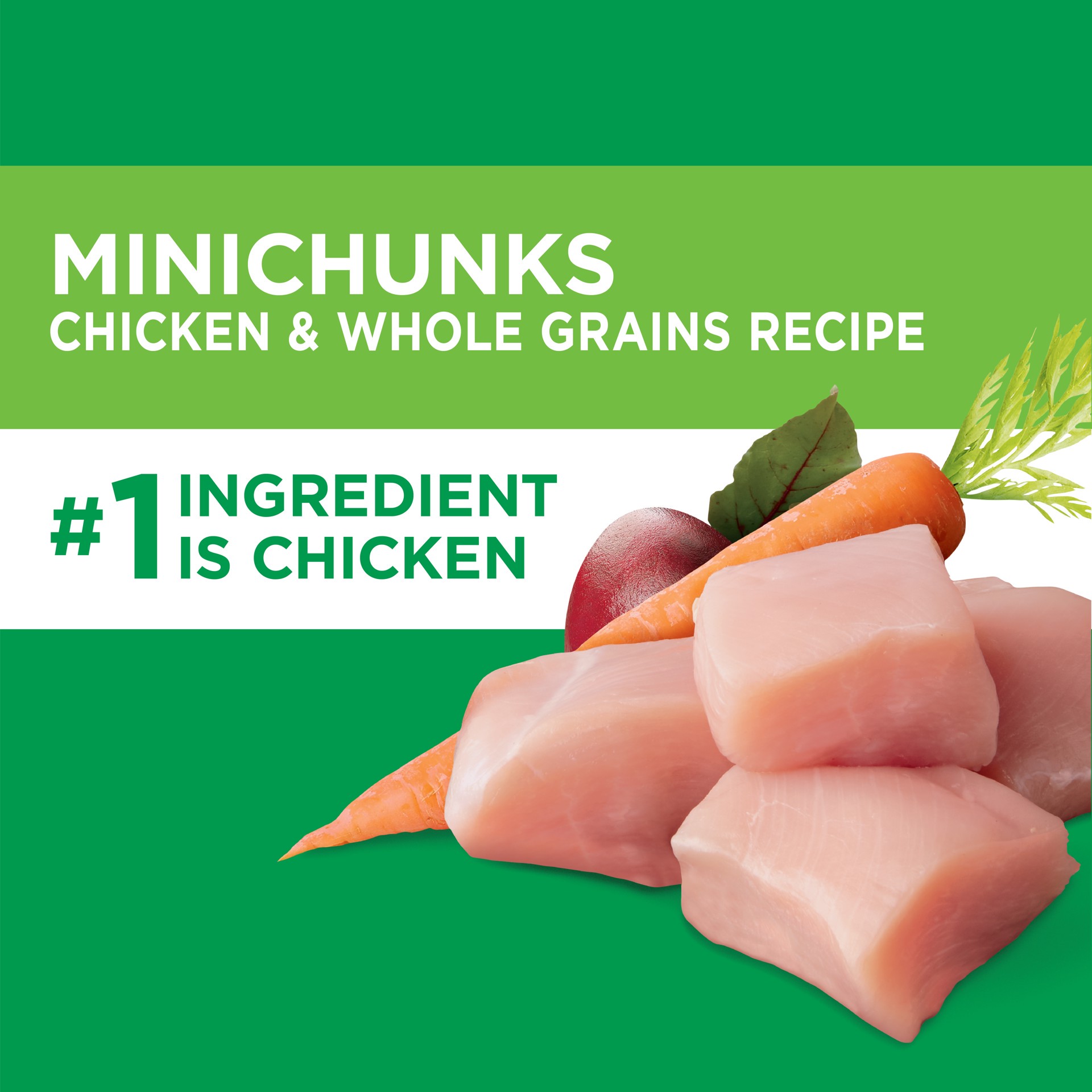 slide 2 of 5, Proactive Health Adult 1+ Minichunks Chicken & Whole Grain Recipe Dog Food 15 lb, 15 lb