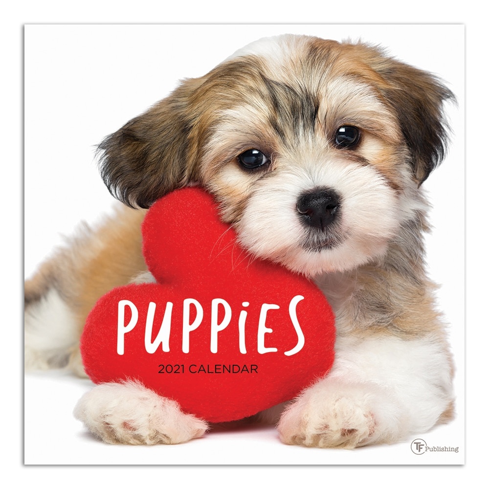 slide 1 of 1, TF Publishing Animals Monthly Wall Calendar, 12" X 12", Puppies, January To December 2021, 1 ct