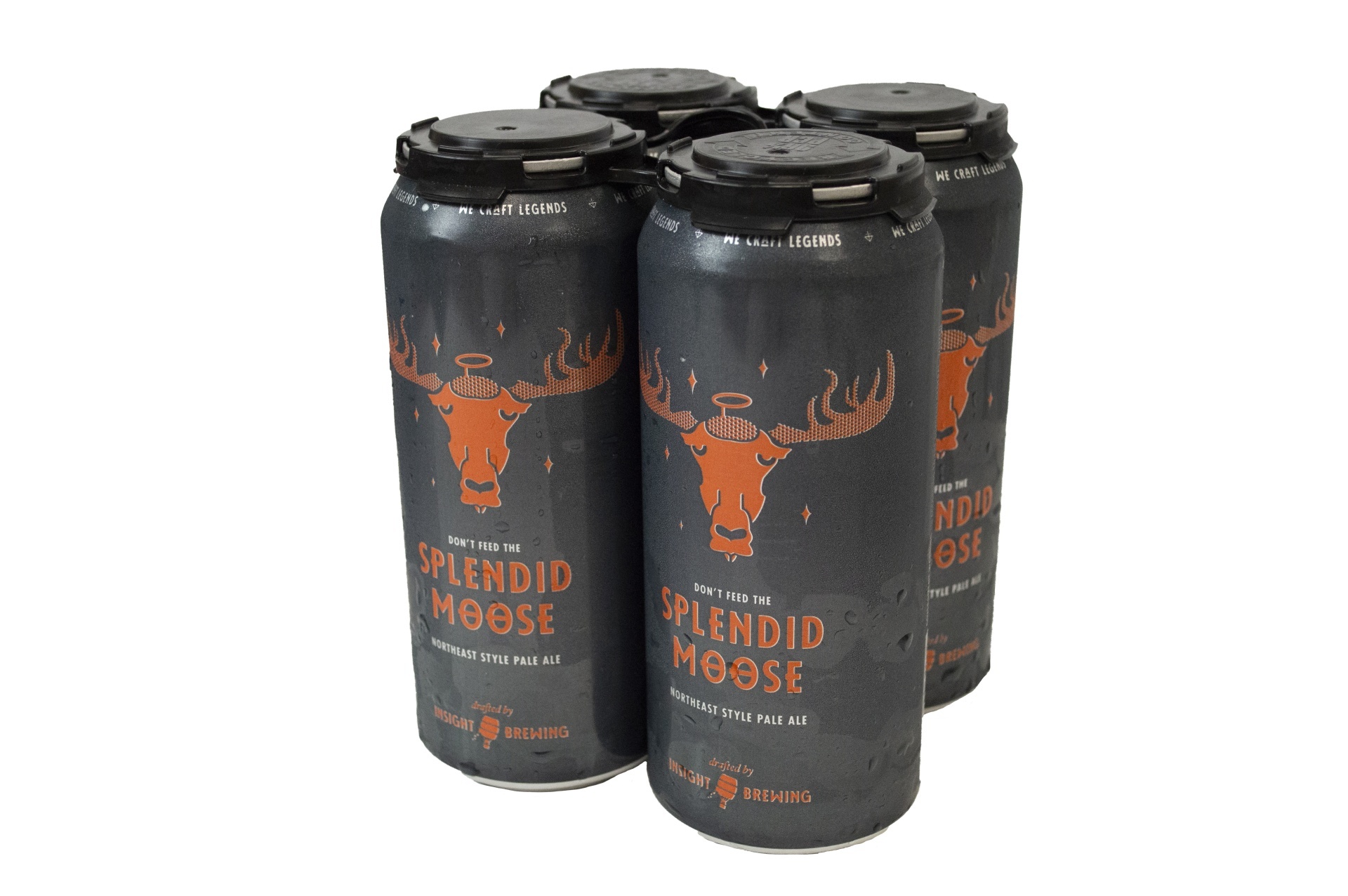 slide 1 of 1, Insight Brewing Splendid Moose Pale Ale, 4 ct; 16 fl oz