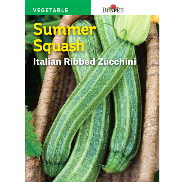 slide 1 of 1, Burpee Italian Summer Squash Italian Ribbed Zucchini Seeds, 1 ct