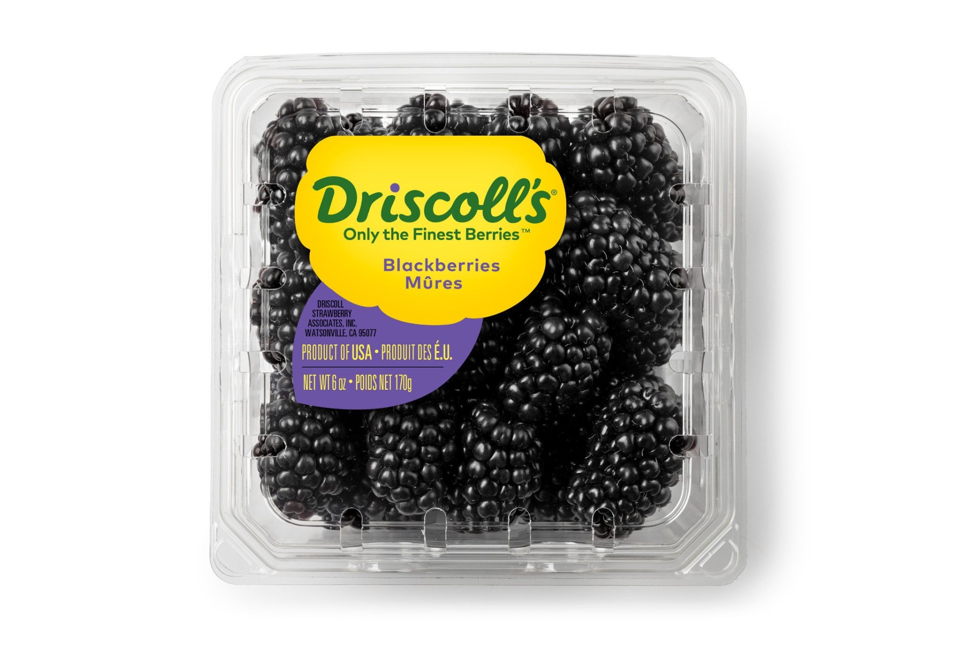 slide 1 of 1, Driscoll's Blackberries, Conventional, 6 oz