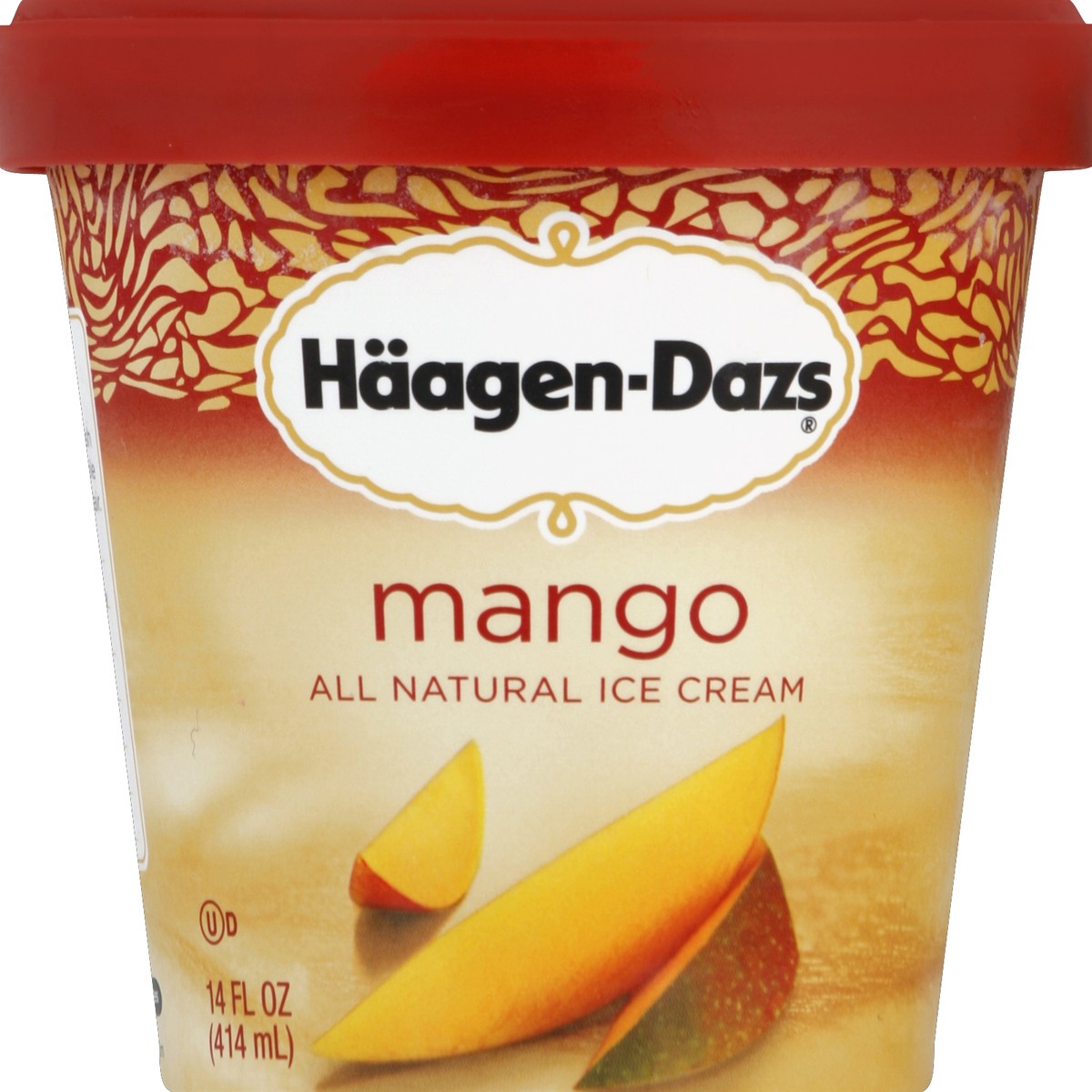 slide 5 of 6, Häagen-Dazs Mango Ice Cream, 1 pint