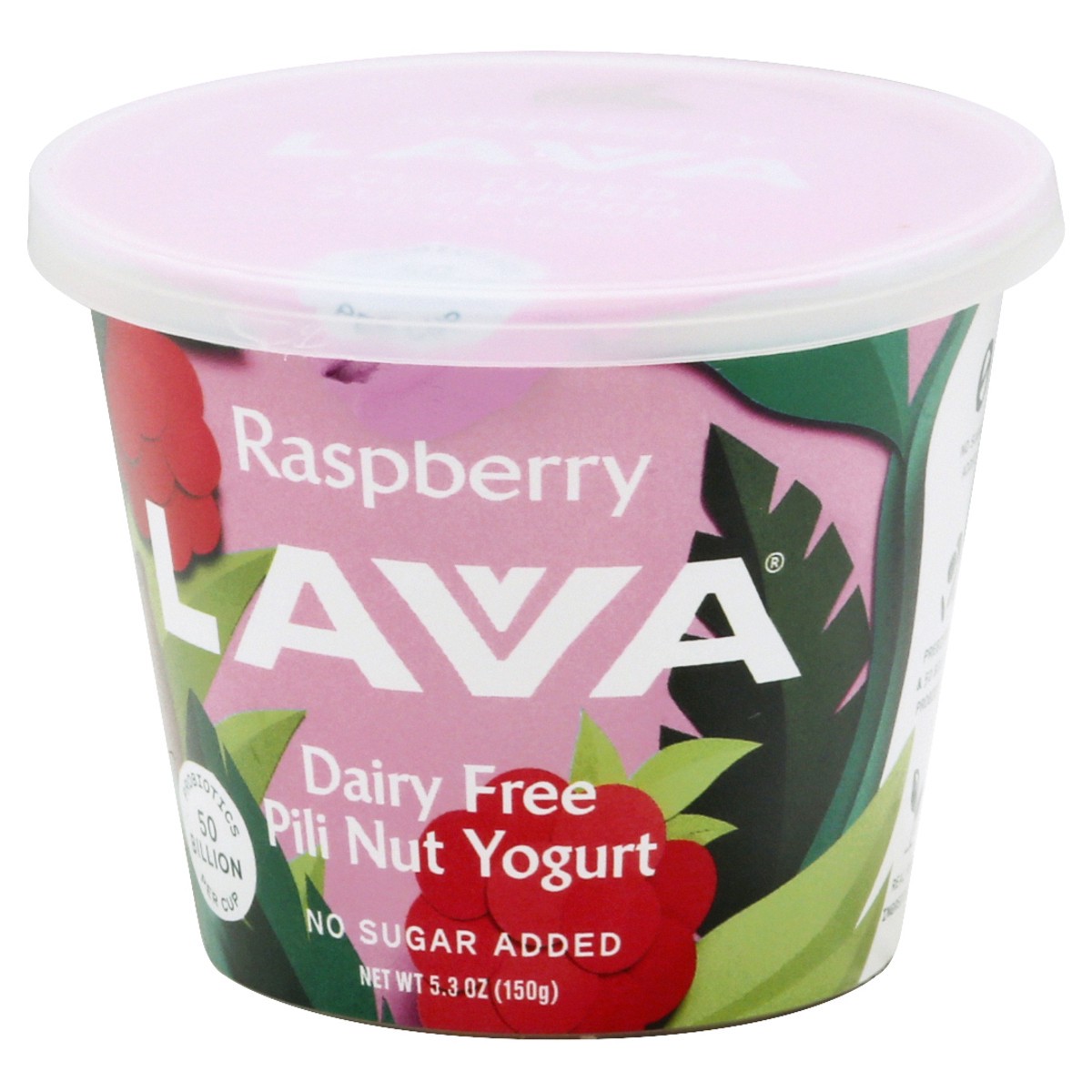 slide 2 of 11, Lavva Dairy Free Pili Nut Raspberry Yogurt 5.3 oz, 5.3 oz